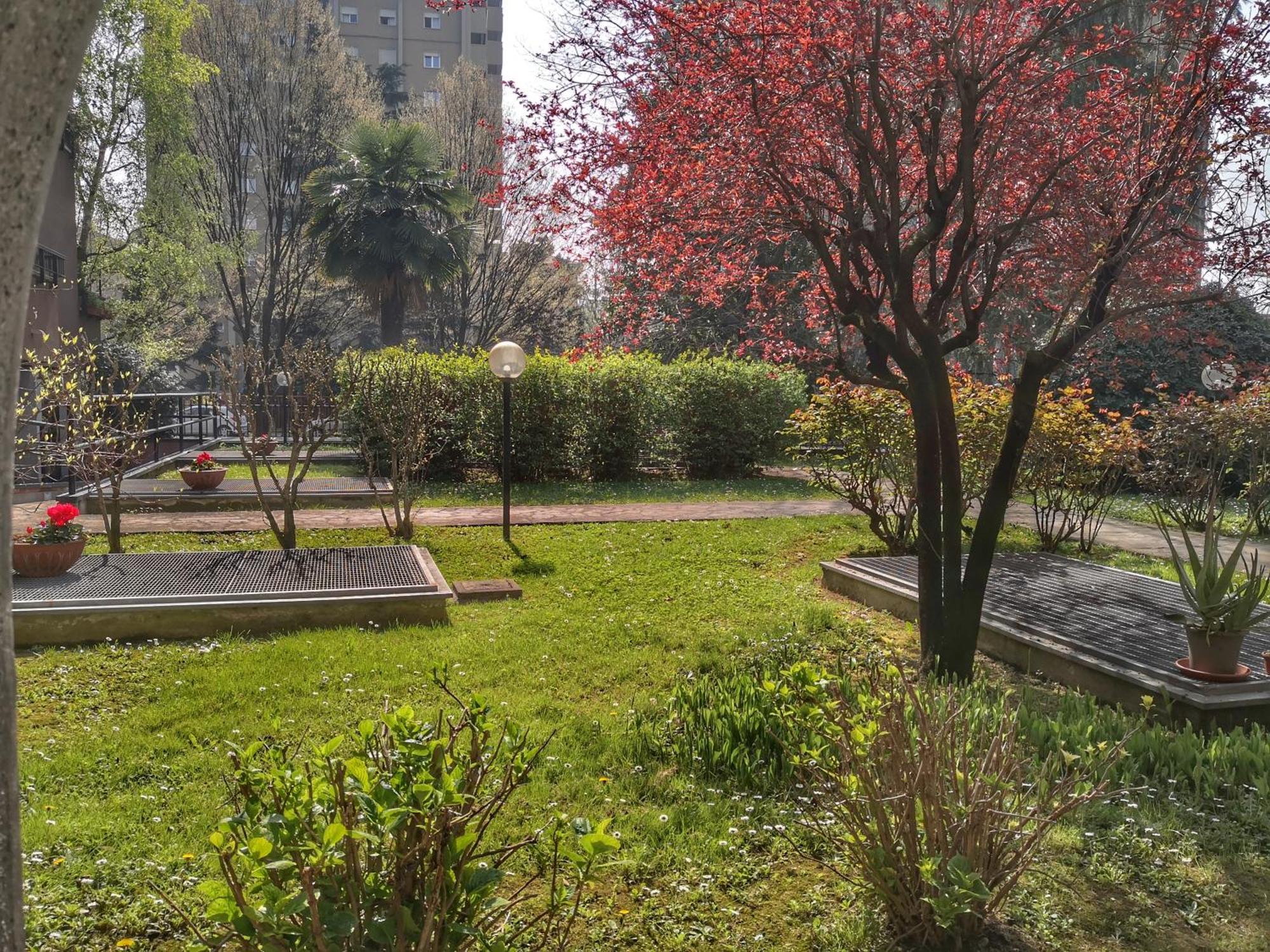 Ihost Apartment - Adriatico 6 Milano Eksteriør billede